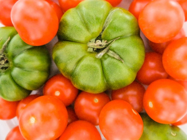 Tomaten_rot_und_gruen