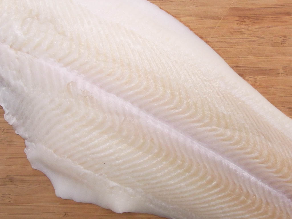 Filet vom schwarzen Heilbutt und frische Algen – Rohkost- und ...