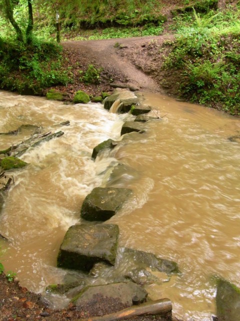 Butzerbach_Roemerpfad