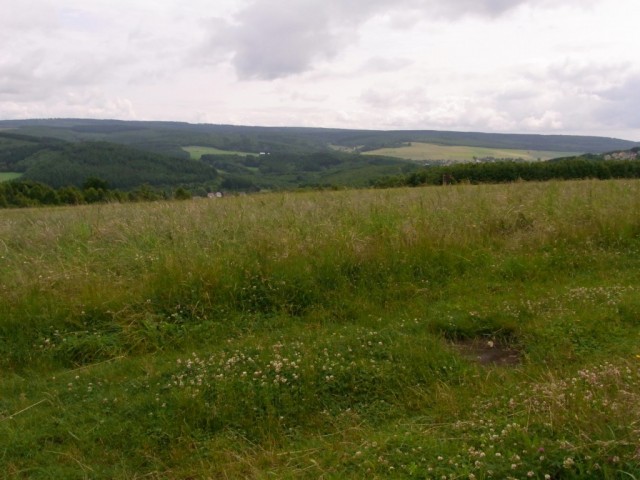 Panoramaaussicht_Schwarzwaelder_Hochwald