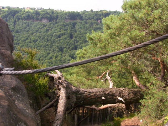 Altfels_Stahlseil