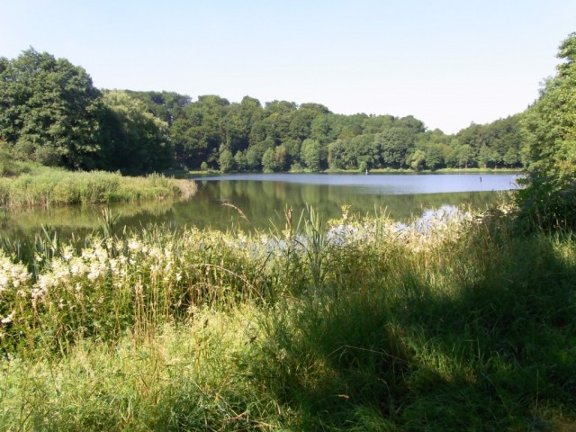 Holzmaar