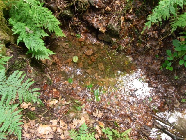 Litermont_Gipfeltour_Etzelbach_Quelle