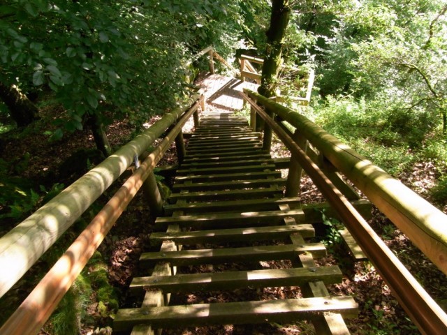 Rockenburger_Urwaldpfad_Holzleiter