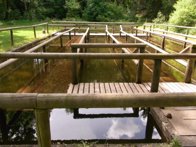 Wassertretanlage_Beuren