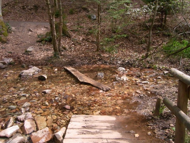 Bachlauf_mit_Holzbrett