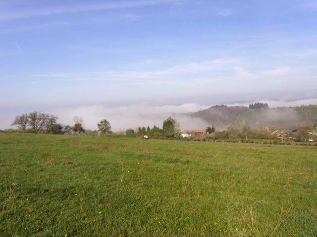 Morgennebel