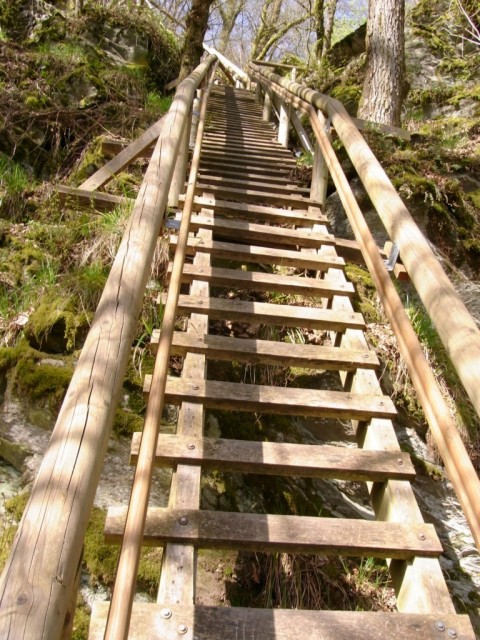 Rockenburger_Urwaldpfad_Leiter