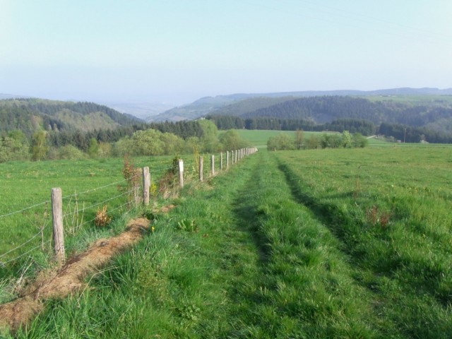Schiefer_Wacken_Weg_nahe_Thomm