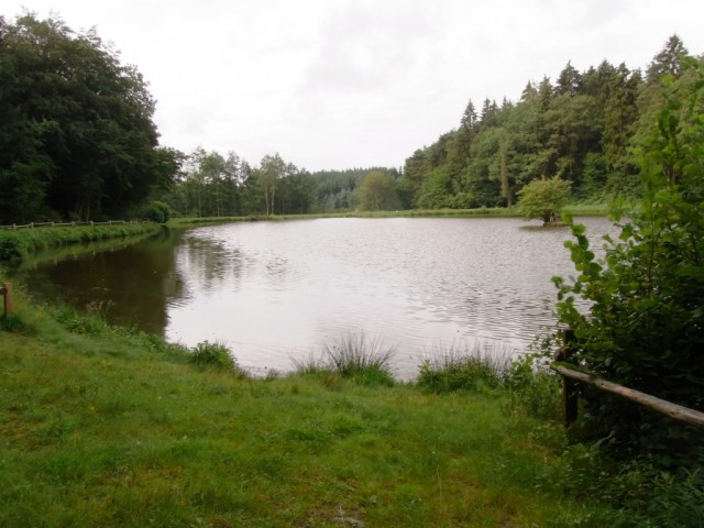 Schillingen_Freizeitanlage_Waldsee