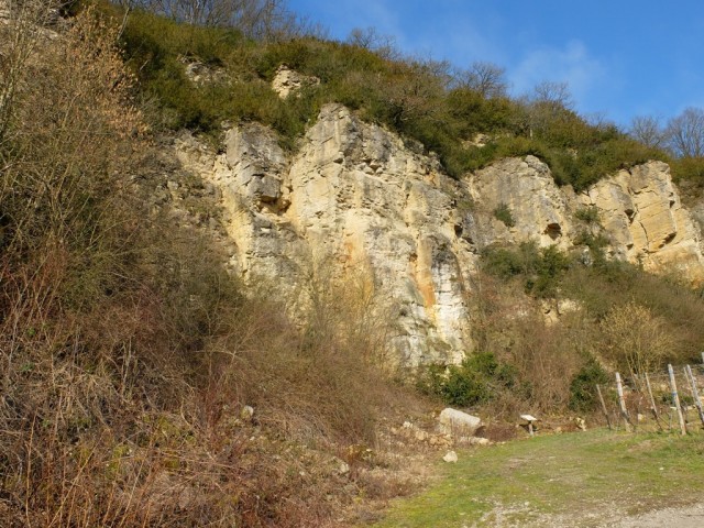 Muschelkalkfelsen