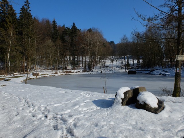 Teich_im_Winter