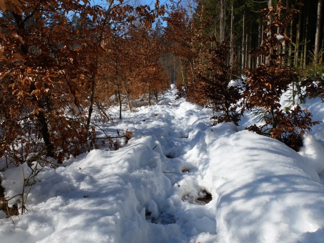 Verschneiter_Weg