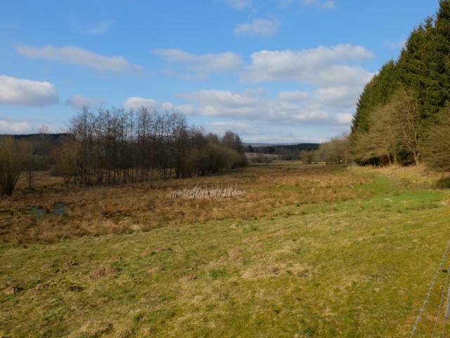 Landschaft_Fruehling