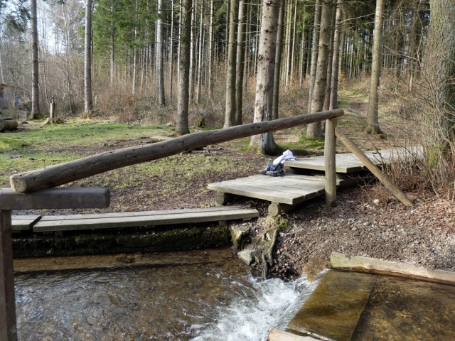 Schillingen_ Barfusspfad