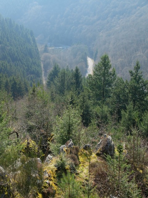 Ausblick_ins_Dhrontal