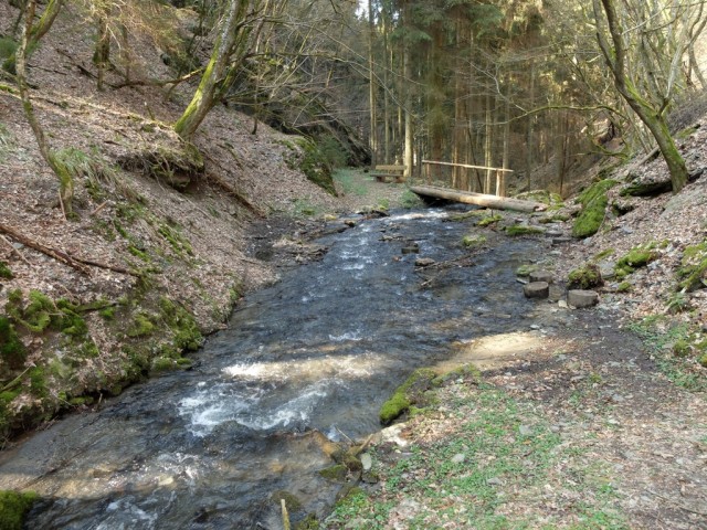 Bachlauf_mit_Steg