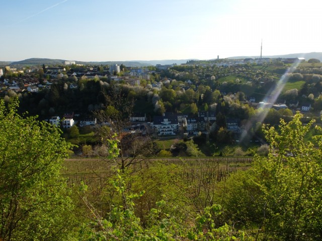 Blick_auf_Petrisberg_und_Tarforst