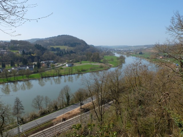 Moselblick