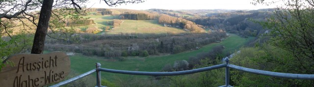 Panorama_Nahe_Wiese