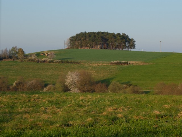 Rascheid_Heildelberg