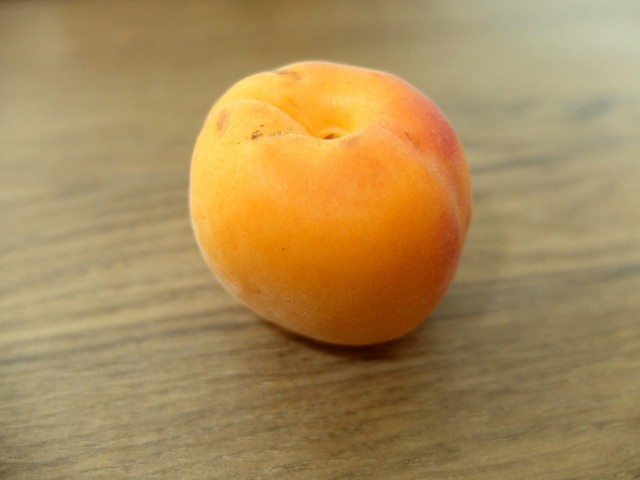 Aprikose