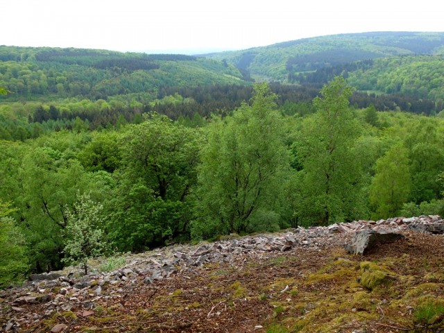 Blick_ins_Traunbachtal