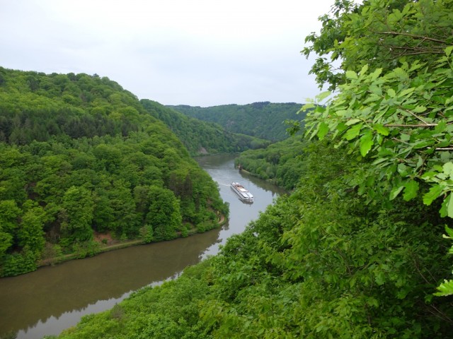 Saar_mit_Ausflugsschiff