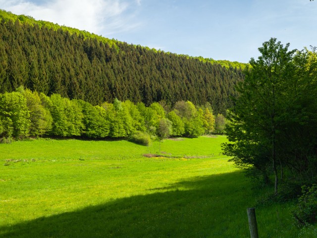 Wiesen_am_Kellertsbach