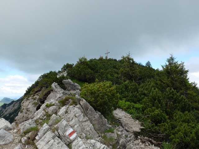 Palmenberg_Iseler_13