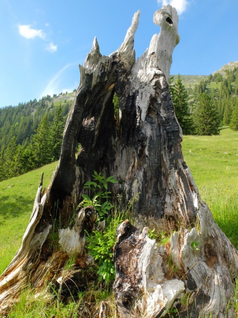 Rotspitze_Heubatspitze_14
