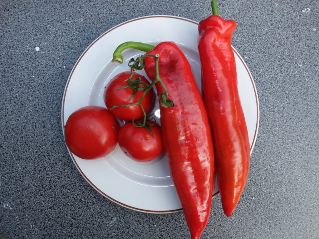 Tomaten_und_roter_Spitzpaprika