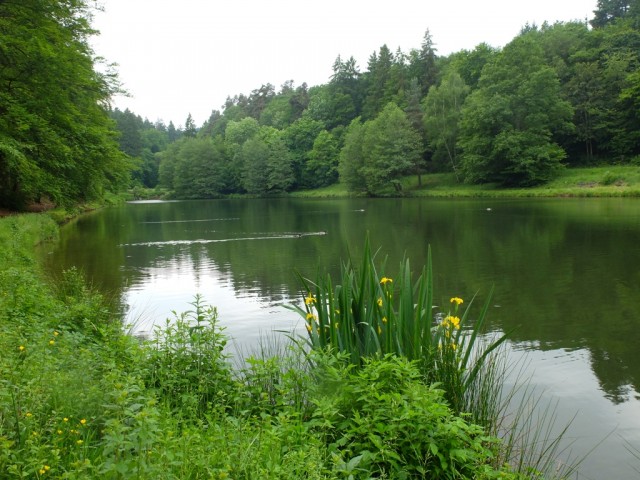 Waldsee