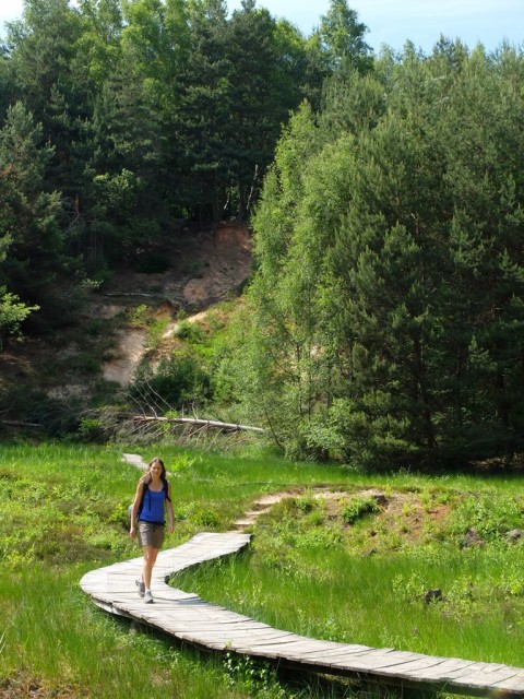 Weg_durchs_Froschparadies