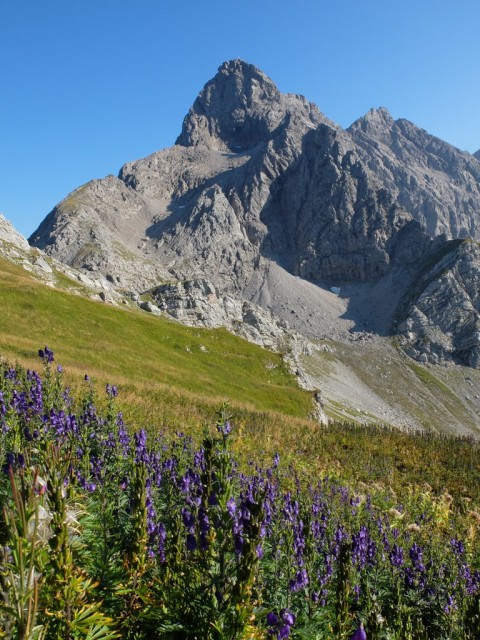 Trettachspitze_Maerchenwiese