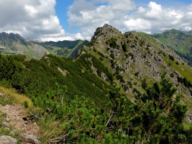 Weg_Schattenberg_Seekoepfle_3