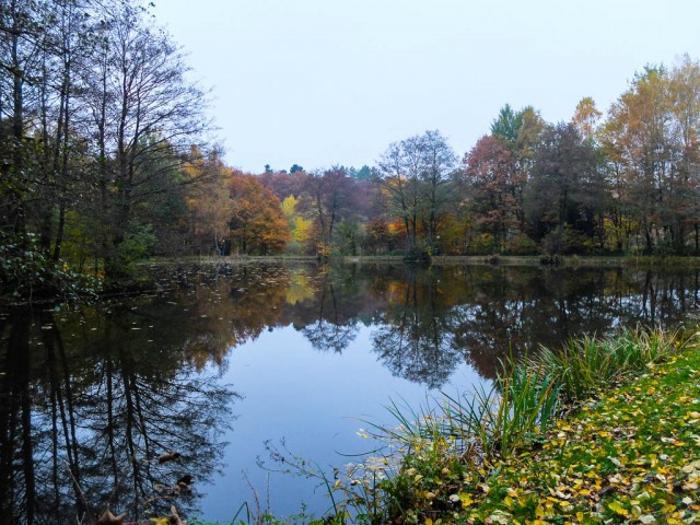 Beuren_Forellenteich