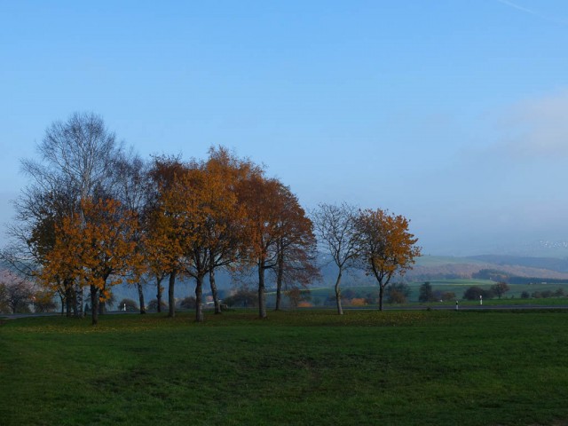 Herbstlandschaft