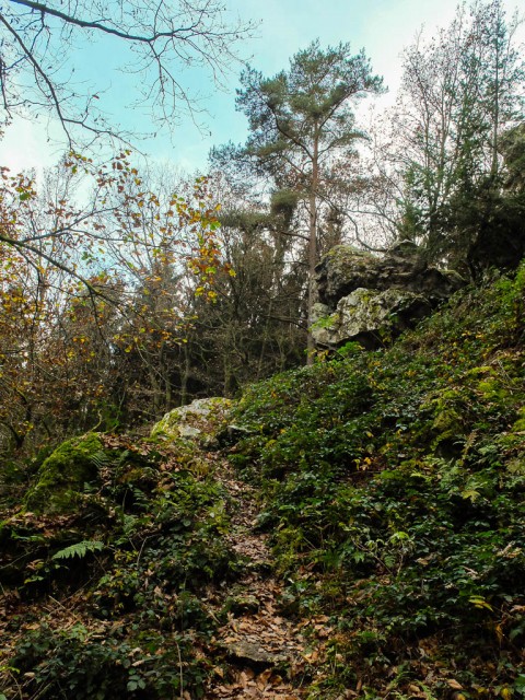 Morscheider_Grenzpfad_1