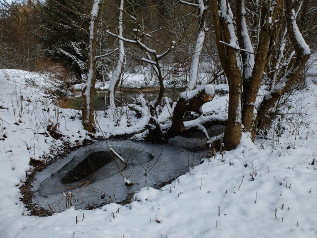 Teich_im_Winter