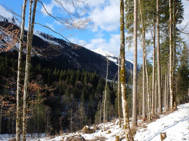 Blick_auf_Soellerkopf