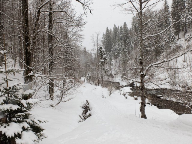 Breitach_bei_Mittelberg_1