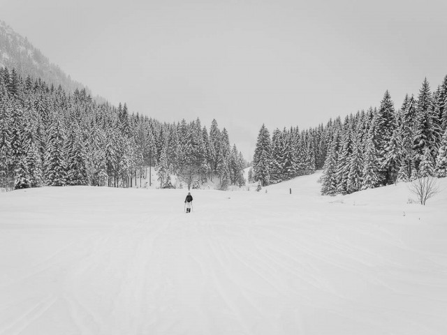 Schneeschuhwanderung_Wildental_2