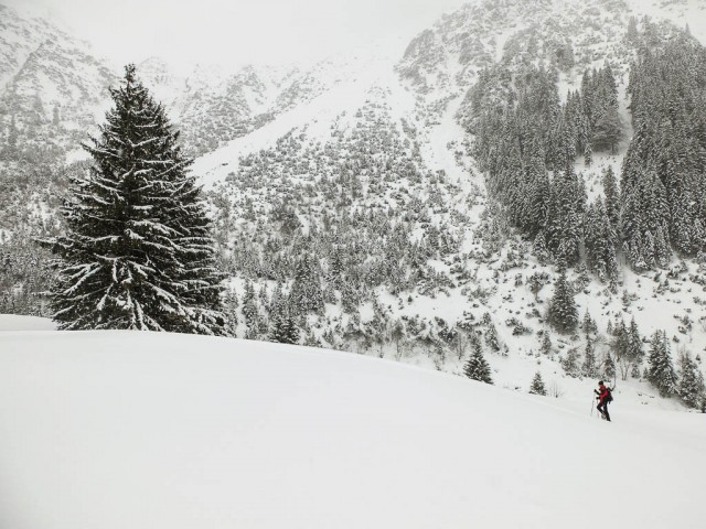 Schneeschuhwanderung_Wildental_4