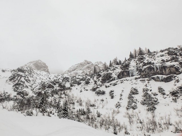 Wildental_im_Winter_5