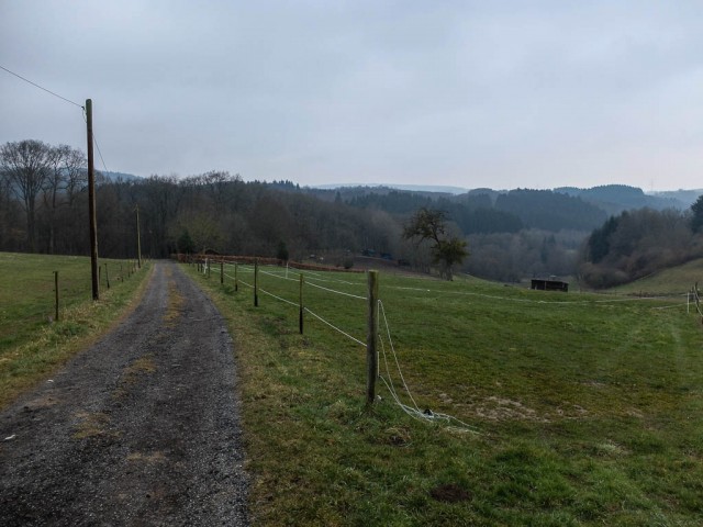 Lorscheid_Wanderung_1