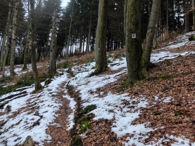 Lorscheid_Wanderung_4