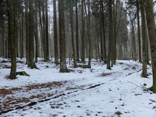 Lorscheid_Wanderung_5