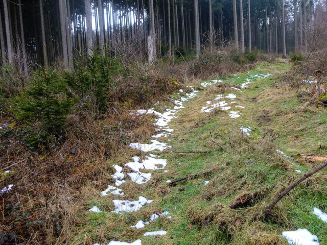 Lorscheid_Wanderung_6