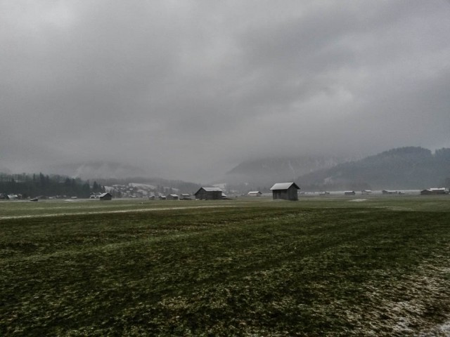 Oberstdorf_Wiesen_im_Maerz